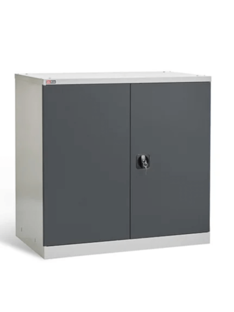 Шкаф инструментальный ДиКом ВЛ-051-02 купить в Североморске